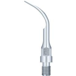 Insert GS2 pour Prophylaxie compatible Sirona