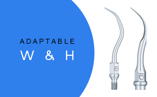Inserts dentaires Compatibles W&H